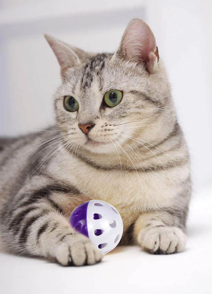 6PCS Cat Toy Bell Ball Interactive Pet Playing Toy for Kitten Cat